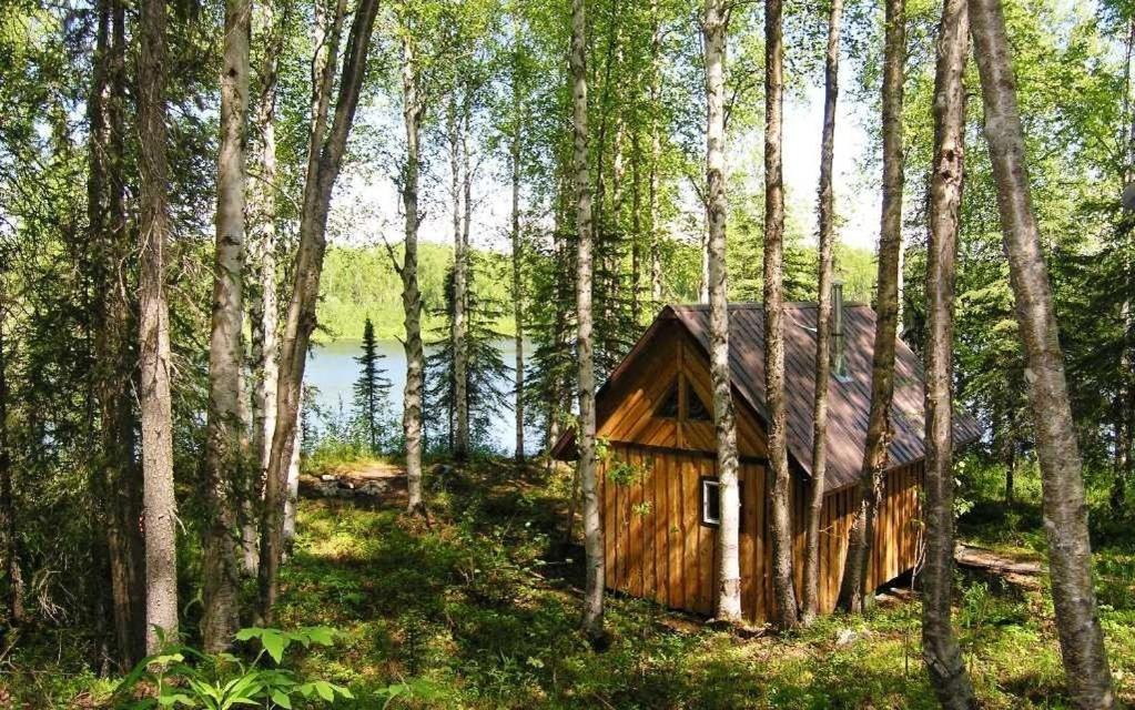 Talkeetna Lakeside Cabins Денали Экстерьер фото